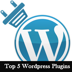 5 WordPress Plugins